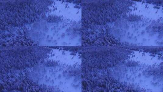 航拍积雪覆盖的山峰 森林树林高清在线视频素材下载