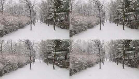 正在下雪 被积雪覆盖的 公园美景特写高清在线视频素材下载