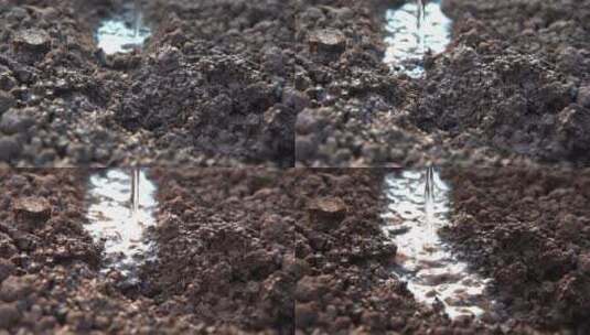 慢镜头土地滴灌浇水灌溉特写高清在线视频素材下载