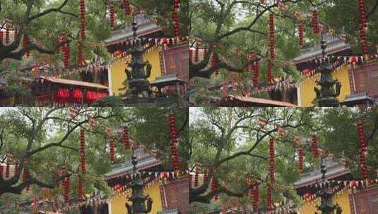 杭州上天竺寺庙树上挂着灯笼高清在线视频素材下载