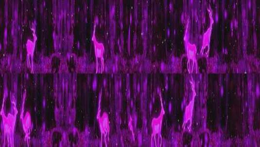 紫色森林小鹿FF22270高清在线视频素材下载