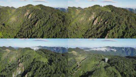 自然风光高山云海大山森林航拍高清在线视频素材下载