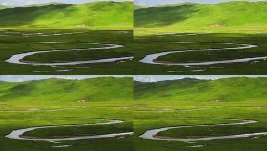 阿坝曼扎塘草原湿地蓝天牦牛草原高清在线视频素材下载