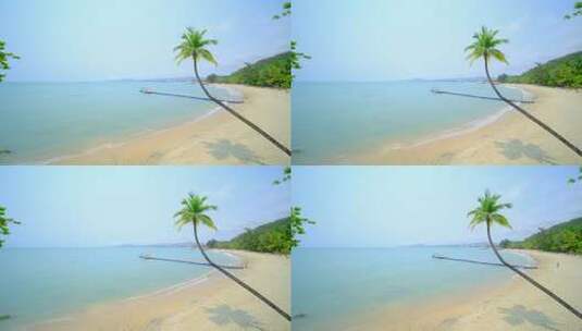 海南三亚 椰树沙滩 海边椰子树 海滩度假高清在线视频素材下载