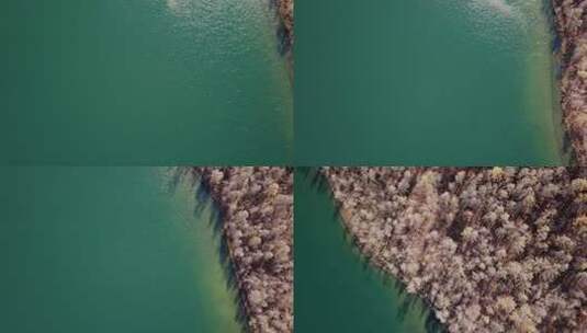 航拍内蒙古呼伦湖秋天景色高清在线视频素材下载