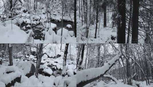 冬季森林溪流积雪雪景合集高清在线视频素材下载