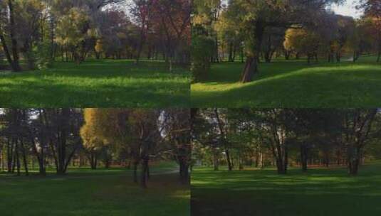 圣彼得堡秋天公园的美丽高清在线视频素材下载