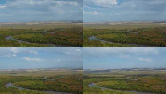 额尔古纳湿地的秋天8KRAW亚洲第一湿地高清在线视频素材下载