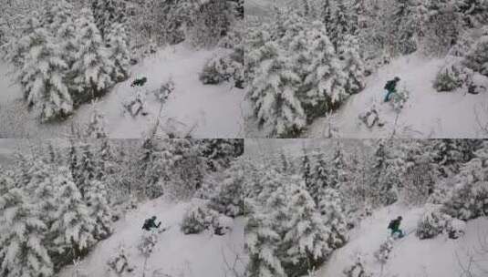 无人驾驶滑雪穿越白雪覆盖的森林高清在线视频素材下载