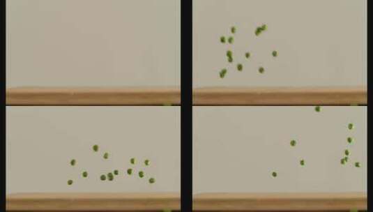 芬腾高速机1000fps之豌豆掉落高清在线视频素材下载