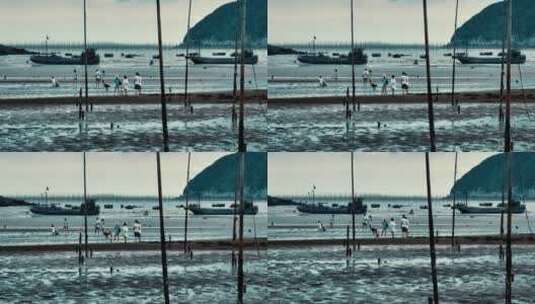 北岐海滩航拍空镜高清在线视频素材下载