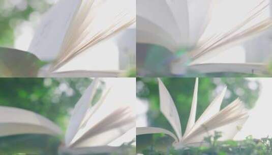 夏日唯美小清新书籍风吹过书本翻页阳光照射高清在线视频素材下载