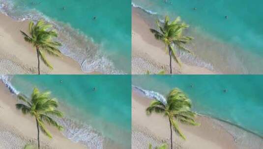 海面 沙滩美景 海湾 棕榈树高清在线视频素材下载