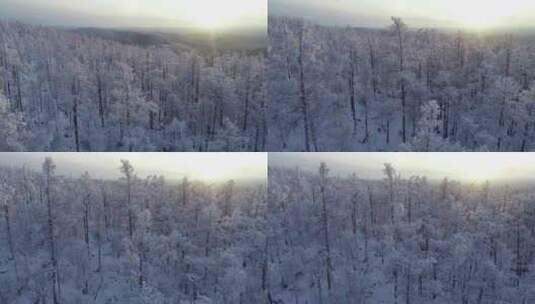 航拍大兴安岭冰雪雾凇、雪凇高清在线视频素材下载