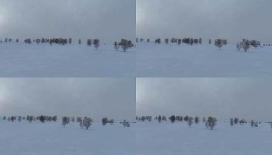 呼伦贝尔雪原风光高清在线视频素材下载