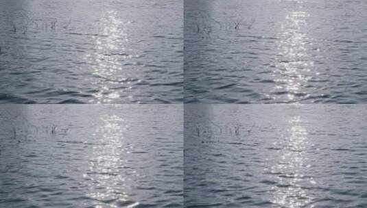 微波荡漾波光粼粼的水面高清在线视频素材下载
