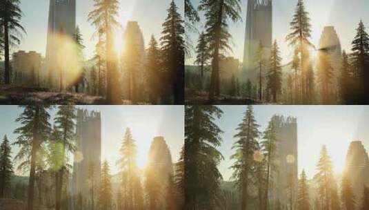 公园森林和日落时分的摩天大楼高清在线视频素材下载