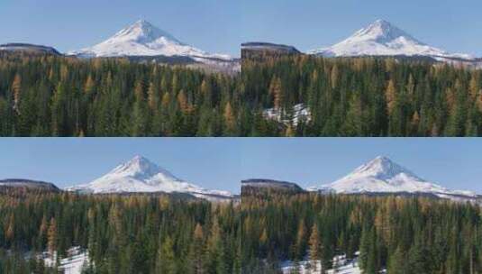 积雪，山，树，森林高清在线视频素材下载