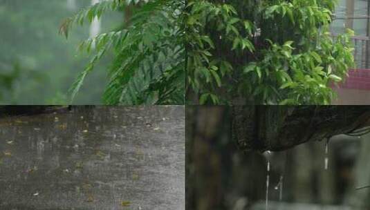 下雨 雨中的叶子01高清在线视频素材下载