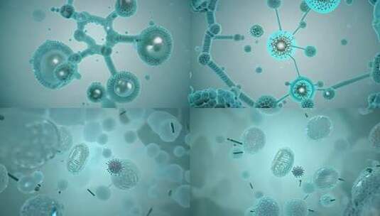 细菌分子结构分子微生物学高清在线视频素材下载