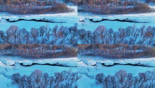 冰雪覆盖的森林湿地景观高清在线视频素材下载