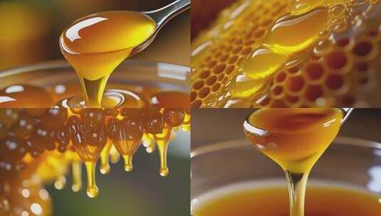 蜂蜜蜂蜜高清在线视频素材下载