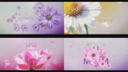 感恩母亲节花朵文字祝福视频AE模板高清AE视频素材下载