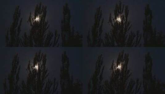 树梢上的月亮高清在线视频素材下载
