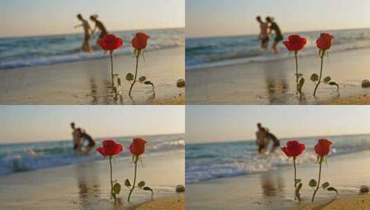 夕阳下的玫瑰花与海浪高清在线视频素材下载