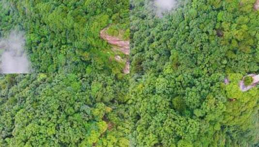 南五台山 钟南山 秦岭 云海 日出 云彩 蓝天高清在线视频素材下载