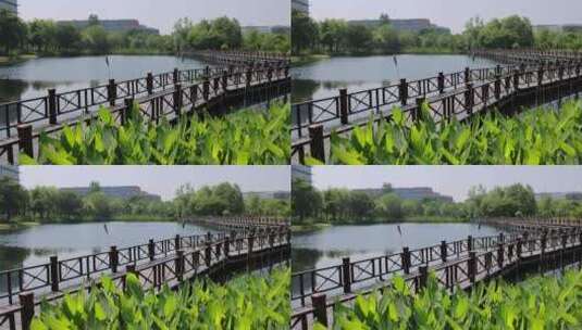中国杭州阿里巴巴园区高清在线视频素材下载