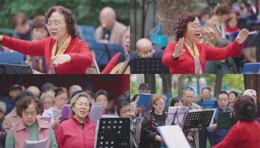 老年人歌唱合唱团一起唱歌高清在线视频素材下载