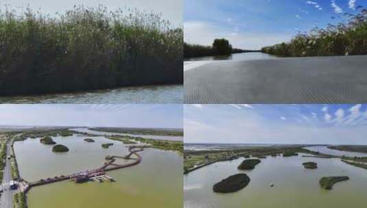 黄河三角洲  湿地 航拍  湿地公园高清在线视频素材下载