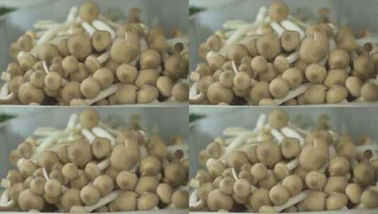 蟹味菇高清在线视频素材下载