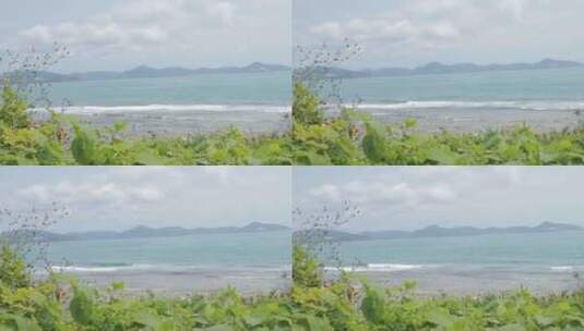 晴天海边的绿色植物和海浪高清在线视频素材下载