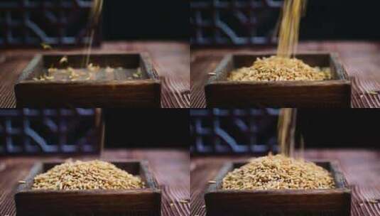 洒落的五谷杂粮糙米燕麦米高清在线视频素材下载