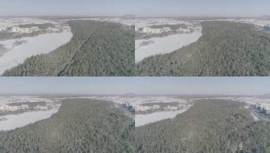 冬季长白山红松原始森林雪景航拍高清在线视频素材下载