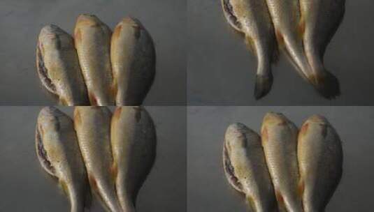肚子里带鱼胶的黄花鱼高清在线视频素材下载