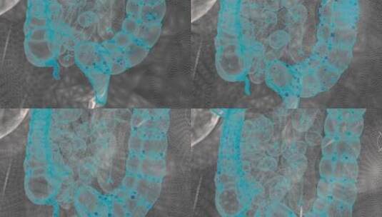 生物科技人体扫描点模型蓝色三维渲染素材高清在线视频素材下载