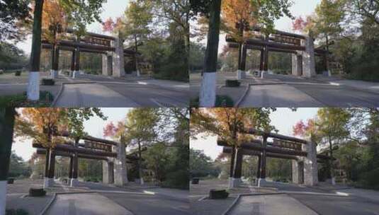 杭州西湖景区植物园高清在线视频素材下载