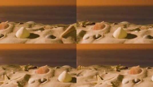 沙滩上的贝壳海星特写高清在线视频素材下载