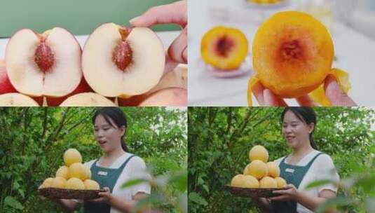 新鲜水蜜桃高清在线视频素材下载