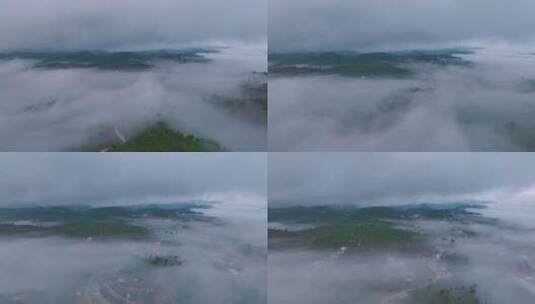 云雾缭绕的茶山高清在线视频素材下载