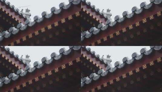 江南烟雨园艺中国海棠树花锦鲤景观设计花坛高清在线视频素材下载