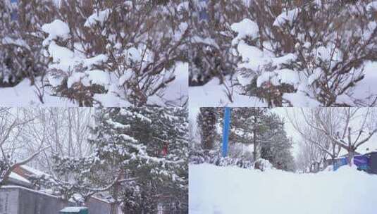 雪天升格视频素材高清在线视频素材下载
