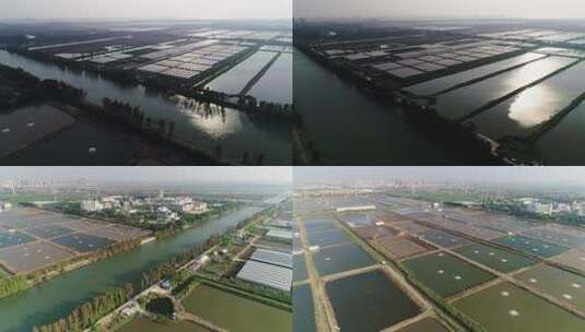 广州南沙鱼塘捕鱼顺德水乡生态养殖基地航拍高清在线视频素材下载
