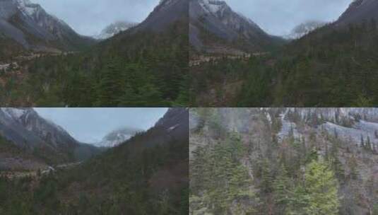 雪后森林航拍高清在线视频素材下载