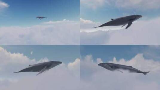 鲸鱼在天空中遨游畅想镜头高清在线视频素材下载
