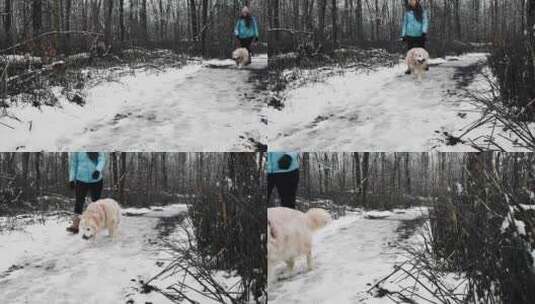 一个女人带着她的狗在白雪覆盖的森林里散步高清在线视频素材下载