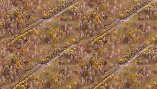 快进X10 航拍大兴安岭金色秋天高清在线视频素材下载